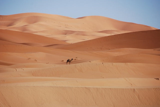 Ras Al Khaimah ørkensafariture
