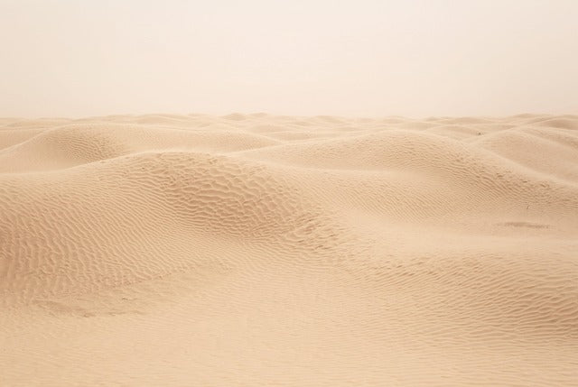 Doha-ørkensafari
