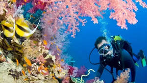 Scuba-dykning i Kemer
