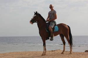 Sharm El Sheikh Horse Riding