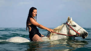 Sharm El Sheikh Horse Riding