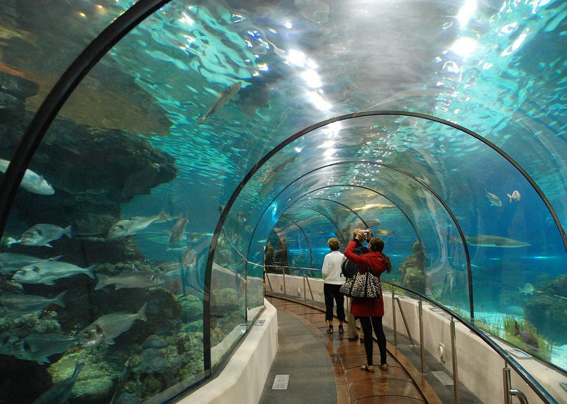 Hurghada Grand Aquarium Visit with Private Transfers