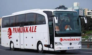 Heldagstur til Pamukkale med entré