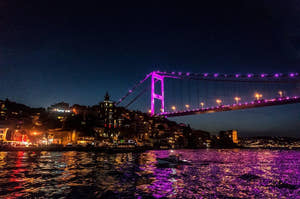 Istanbul Bosphorus middagskrydstogt