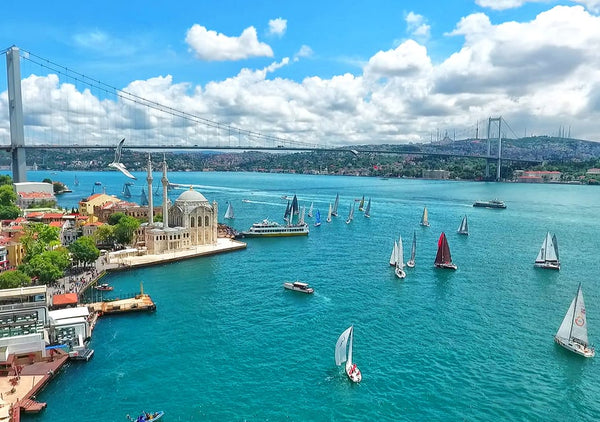 Istanbul Bosphorus Sightseeing Cruise with Audio Guide