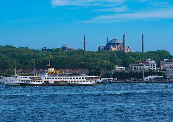 Istanbul Bosphorus Sightseeing Cruise with Audio Guide