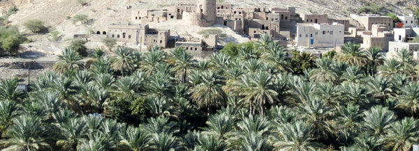 Ganztägiger Ausflug nach Bahla und Misfat Al Abryeen ab Muscat