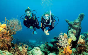 Par dykker med scuba