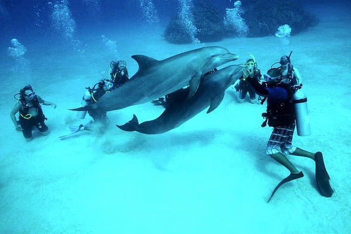 Hurghada Yacht Diving Tour with 2 Dives, Lunch & Transfers