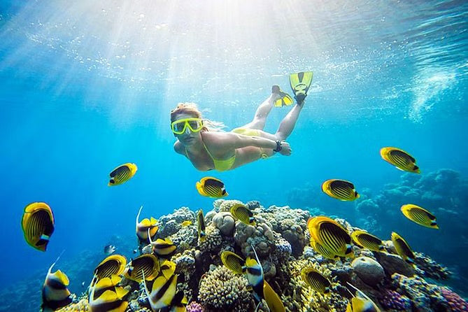 Hurghada Snorkeling Day Trip to Giftun Island with Lunch
