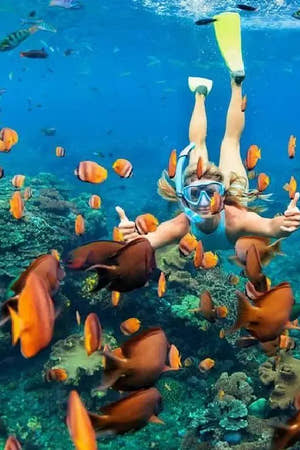 Sharm El Sheikh Snorkelling Trip in Tiran Island by Boat