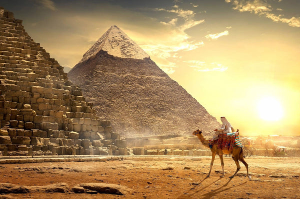 Cairo Day Tour To Giza Pyramids with Camel Ride and Egyptian Museum
