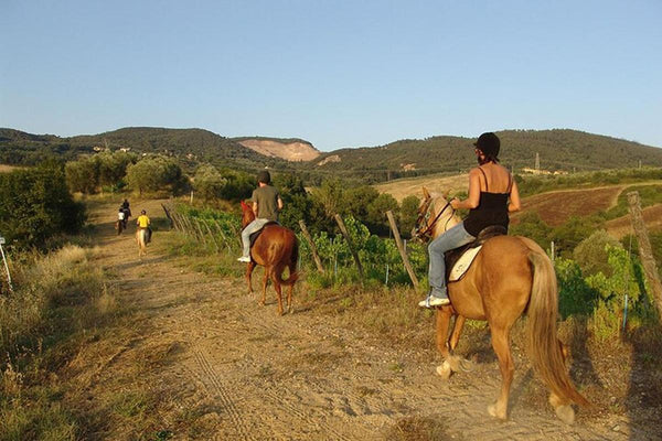 Bodrum Horse Riding Tour with Roundtrip Transfer