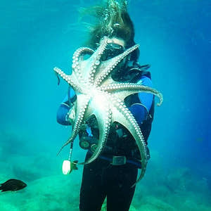 Marmaris Scuba Diving with Two Dives Lunch & Transfer