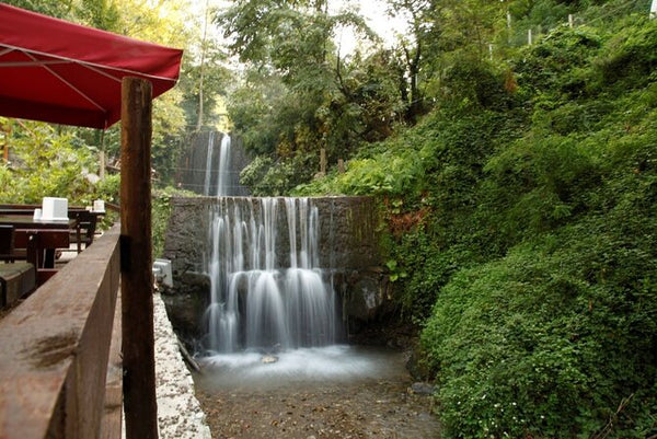 Daily Sapanca Lake & Masukiye Tour from Istanbul with Meals and Transfers