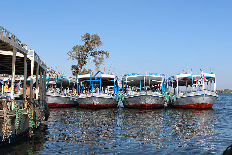 Gå ind i historien: Heldagstur til Luxor og de østlige og vestlige Nile-bredder