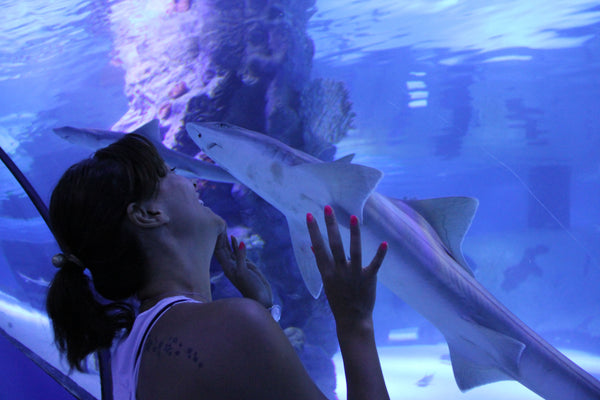 Lady looking at shark