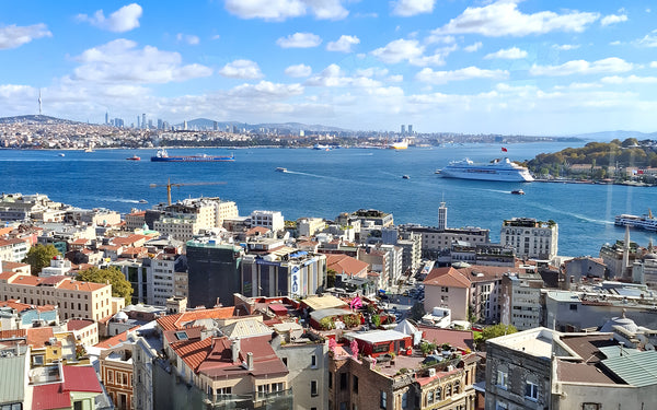 Istanbul Galata Tower Entry Ticket with Audio Guide