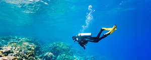 Sharm El Sheikh Snorkelling Trip in Tiran Island by Boat