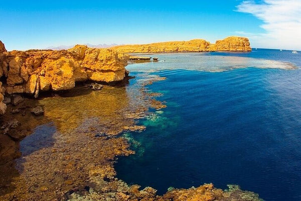 Sharm El Sheikh Ras Mohamed, White Island Schnorchel- und Tauchausflug mit Mittagessen