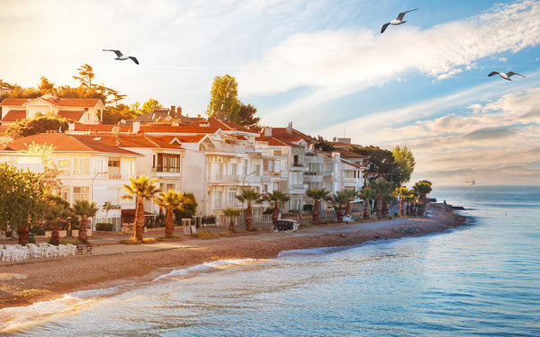 Однодневная поездка на Принцевые острова в Стамбул с обедом и трансфером