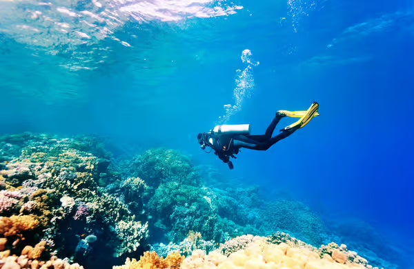 Scuba Diving Experience in Fethiye