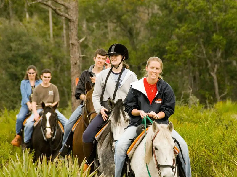 Marmaris Horse Riding Tour - Tripventura