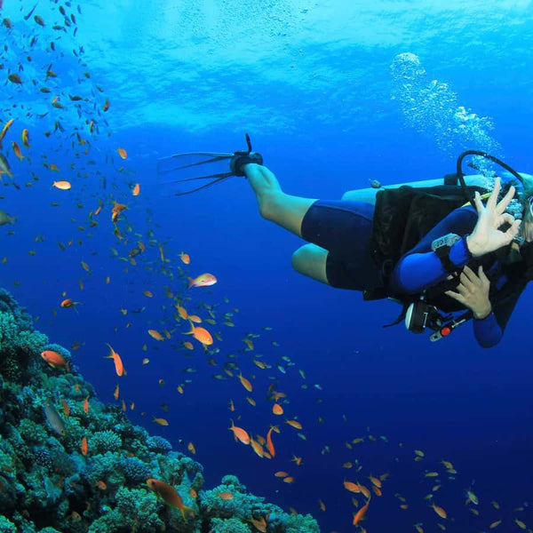 Опыт подводного плавания в Мармарисе с двумя погружениями, обедом и трансфером туда и обратно