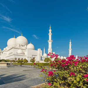Abu Dhabi City Tour with Louvre Museum from Dubai - Tripventura