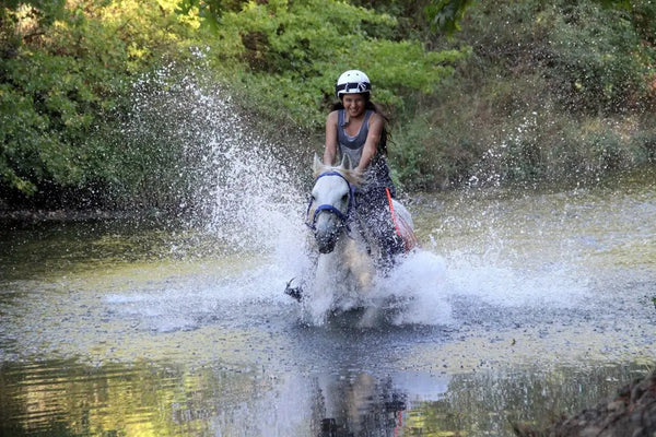 Fethiye Horse Riding Tour - Tripventura
