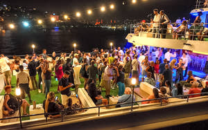 Istanbul Bosporus-middagscruise med tyrkisk aftenforestilling