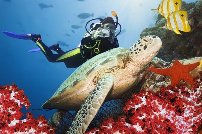 Kemer-dykning med grillfrokost og tur/retur-transport