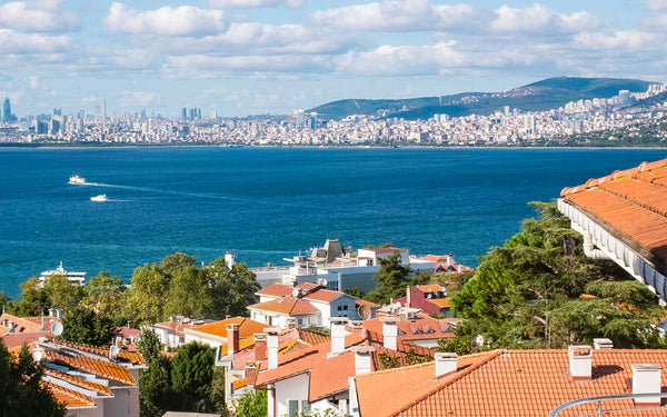 Однодневная поездка на Принцевые острова в Стамбул с обедом и трансфером