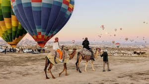 Cappadocia Camel Riding Tour
