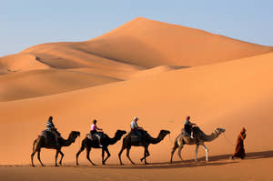 People camel trekking through the desert