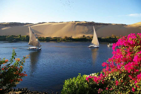 Aswan Private tour to Botanical garden with Felucca ride Nile River
