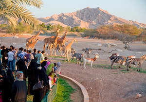 Safarioplevelse i Bali Safari and Marine Park med vilde dyr