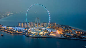 Ain Dubai, Bluewaters'daki gözlem tekerleği