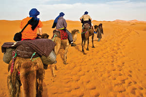 People camel trekking through the desert