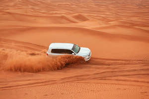Desert Safari