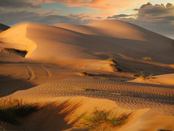 Ganztägige Wadi Bani Khalid und Wahiba Sands Wüstensafari ab Muscat