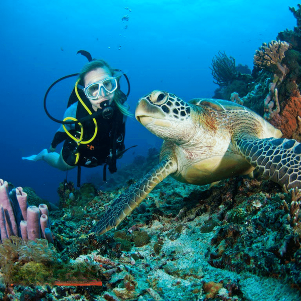 Girl scuba diving in Alanya