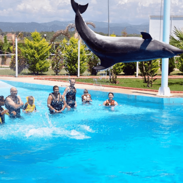 Alanya Dolphin, Sea Lions Show Entrance with Transfer
