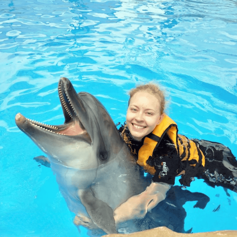 Alanya Dolphin, Sea Lions Show Entrance with Transfer