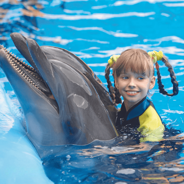 Alanya Dolphin, Sea Lions Show Entrance with Transfer