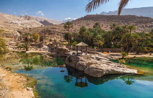 Full Day Wadi Bani Khalid and Wahiba Sands Desert Safari From Muscat
