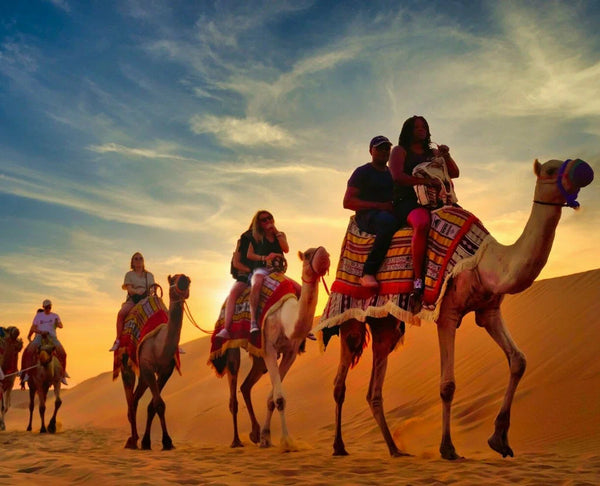 People riding camel