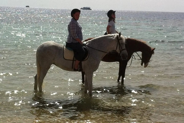 Reiten in Sharm El Sheikh