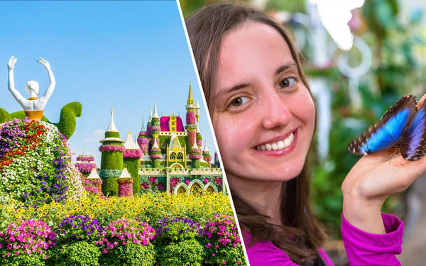 Dubai Miracle Garden + Butterfly Garden