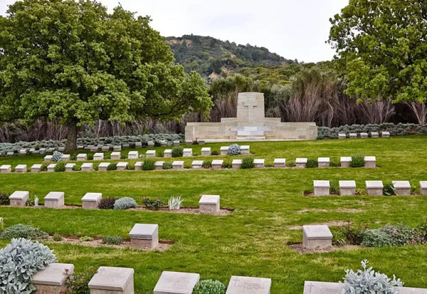 Heldagstur fra Istanbul til Gallipoli